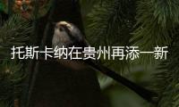 托斯卡纳在贵州再添一新成员
，队伍正在日益壮大