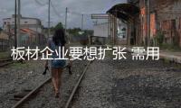 快排公司十年历程，霸屏兔 seo 的崛起与坚守