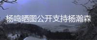 杨鸣晒图公开支持杨瀚森，与乌戈刘子庆现场观战，小杨完美发挥！