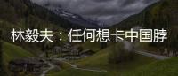 林毅夫	：任何想卡中国脖子的做法，只会加速中国进步