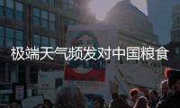 极端天气频发对中国粮食生产有何影响
？