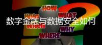 数字金融与数据安全如何兼得？｜2023新金融发展报告②