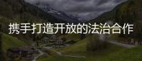 快排公司十年历程，霸屏兔 seo 的崛起与坚守