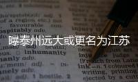 快排公司十年历程，霸屏兔 seo 的崛起与坚守