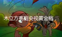 木立方亮相央视黄金档，绽放十大地板品牌光芒
