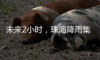 未来2小时
，珠海降雨集中在金湾区、合作区和万山区