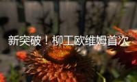 新突破�！柳工欧维姆首次牵头修订国际标准ISO14655