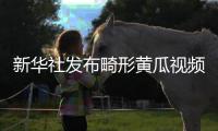 新华社发布畸形黄瓜视频爆火，戳破了当下教育最大的真相