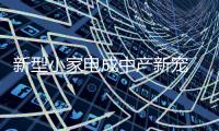 快排公司十年历程，霸屏兔 seo 的崛起与坚守