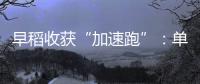 早稻收获“加速跑”：单产提升行动显成效 丰收基础稳