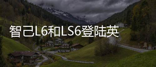 车标仍保留智己设计