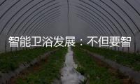 智能卫浴发展�：不但要智能 更要有品位