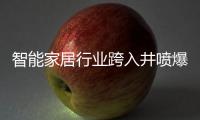 智能家居行业跨入井喷爆发期	，TCL智能门锁抢夺先机
