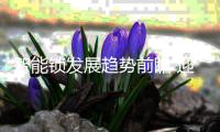 智能锁发展趋势前瞻 迎挑战抓机遇