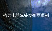 格力电器牵头发布两项制冷压缩机国际标准 董明珠
：消费者的需要才是真正的标准