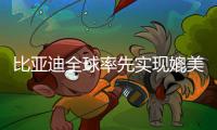 比亚迪全球率先实现媲美L4级智能泊车	，承诺中国市场全面兜底
