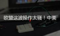 欧盟这波操作太骚！中美刚要联手绞杀，它竟想左右逢源
？