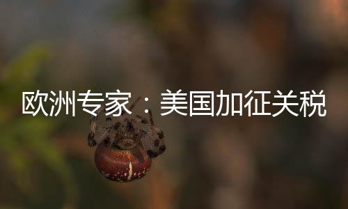 美国没贸易战只有输家