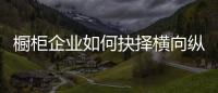 橱柜企业如何抉择横向纵向发展
？