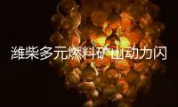 潍柴多元燃料矿山动力闪耀中国国际矿业展，四大关键词解码硬核实力！