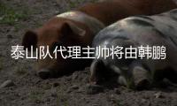 泰山队代理主帅将由韩鹏担任，此前他正带领泰山B队征战中乙