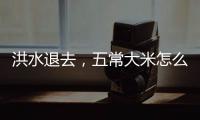 洪水退去，五常大米怎么样了？