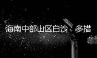 快排公司十年历程，霸屏兔 seo 的崛起与坚守