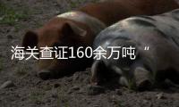快排公司十年历程，霸屏兔 seo 的崛起与坚守