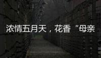 浓情五月天
，花香“母亲节”！担杆镇海岛之家开展母亲节插花活动