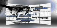 快排公司十年历程，霸屏兔 seo 的崛起与坚守