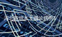 快排公司十年历程，霸屏兔 seo 的崛起与坚守