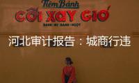 河北审计报告：城商行违规放贷406亿�，344辆公务用车被违规租赁