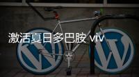 快排公司十年历程，霸屏兔 seo 的崛起与坚守