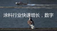 涂料行业快速增长
	，数字化创新正当时