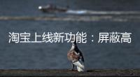 快排公司十年历程，霸屏兔 seo 的崛起与坚守