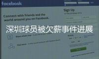 快排公司十年历程，霸屏兔 seo 的崛起与坚守