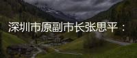 深圳市原副市长张思平
：国有企业要有所为有所不为