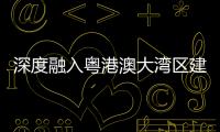 快排公司十年历程，霸屏兔 seo 的崛起与坚守