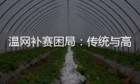 快排公司十年历程，霸屏兔 seo 的崛起与坚守
