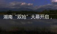 快排公司十年历程，霸屏兔 seo 的崛起与坚守