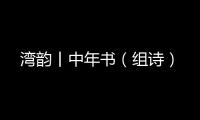 快排公司十年历程，霸屏兔 seo 的崛起与坚守