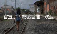 官宣了�	！鹈鹕官推：欢迎来到新奥尔良 乔丹