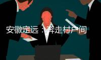 安徽定远：奔走村户间 算好脱贫账