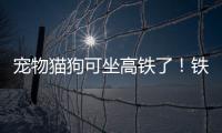 宠物猫狗可坐高铁了！铁路12306推出“宠物托运”功能