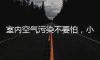 室内空气污染不要怕�，小海鸥贝壳粉还你清新空气!