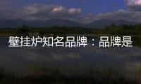 壁挂炉知名品牌：品牌是“亮点” 售后服务树口碑
