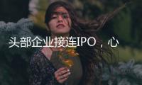 头部企业接连IPO
，心脏瓣膜行业为何这么热？