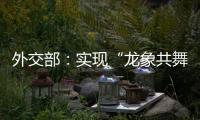 外交部：实现“龙象共舞”是中印两国唯一正确的选择
