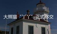 大熊猫“丫丫”正式移交中方！