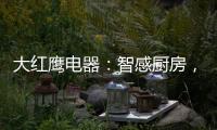 大红鹰电器：智感厨房	
，智慧非凡，解锁智能新生活